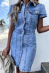 High Waist Single Breasted Denim Mini Dress
