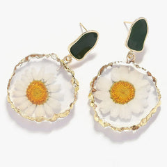 Small Daisy Dried Flower Earrings