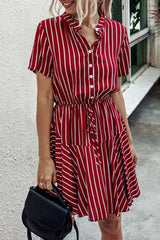 Feel All Money Stripe Dress
