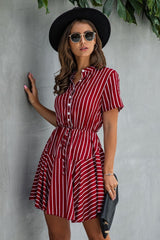 Feel All Money Stripe Dress