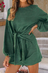 Plain Cinched Long Sleeve Dress