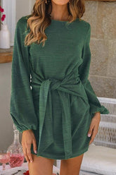 Plain Cinched Long Sleeve Dress