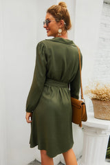 Plain Single Breasted Belt Dress