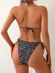 Push Up Bikini Swimsuit Swimwear Female Dot Brazil Bikini Set