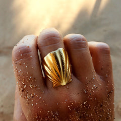 Shell Ring