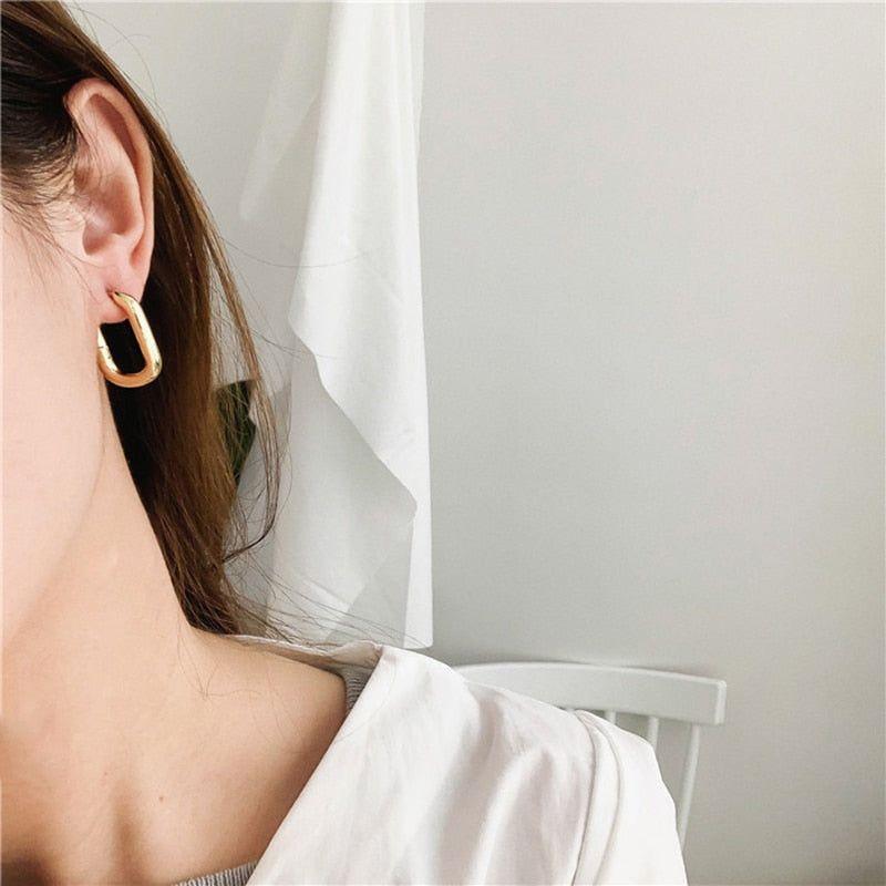 French Chunky Hoops Geometrical Earrings