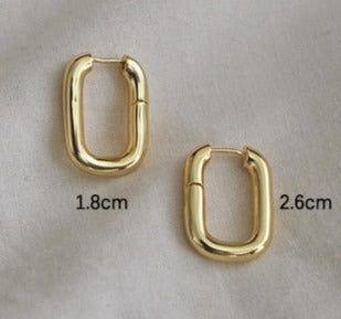 French Chunky Hoops Geometrical Earrings