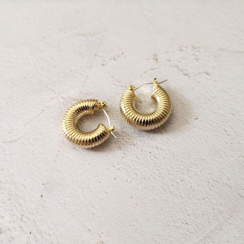 French Chunky Hoops Geometrical Earrings