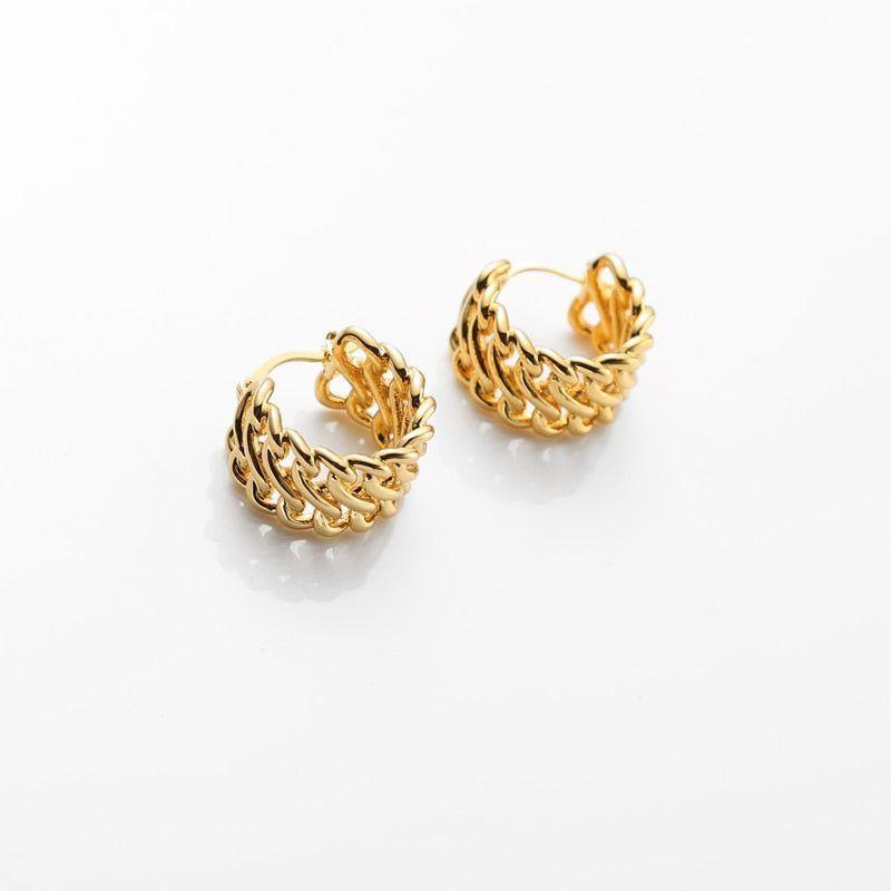 French Chunky Hoops Geometrical Earrings