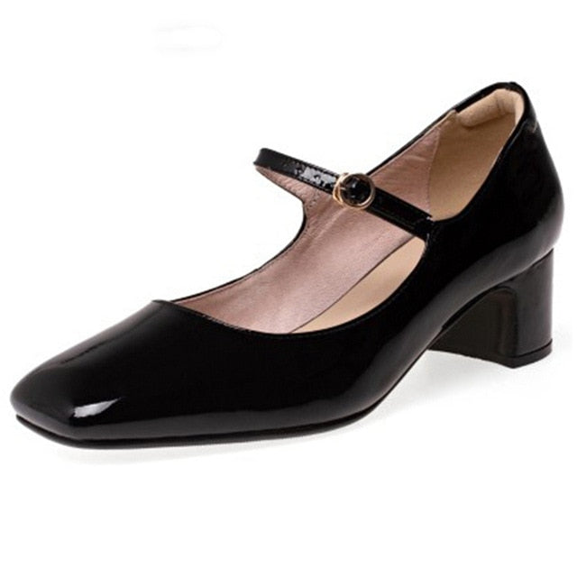 Mary Jane Style Low Heel Shoes