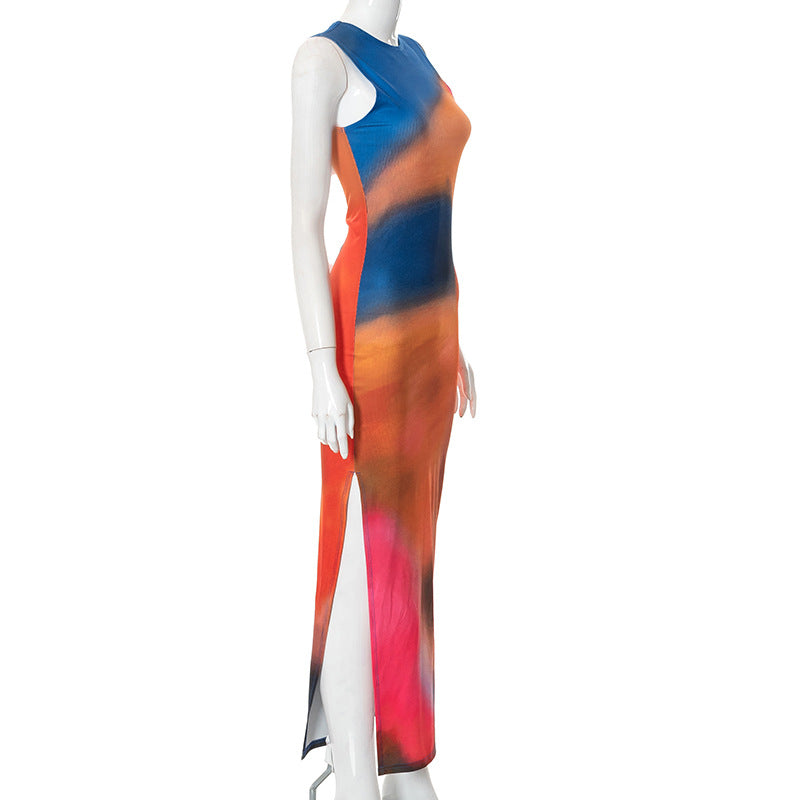 Never Too Late Sleeveless Print Dress