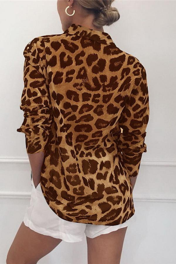 Leopard Print V-neck Long Sleeve Chiffon Jacket