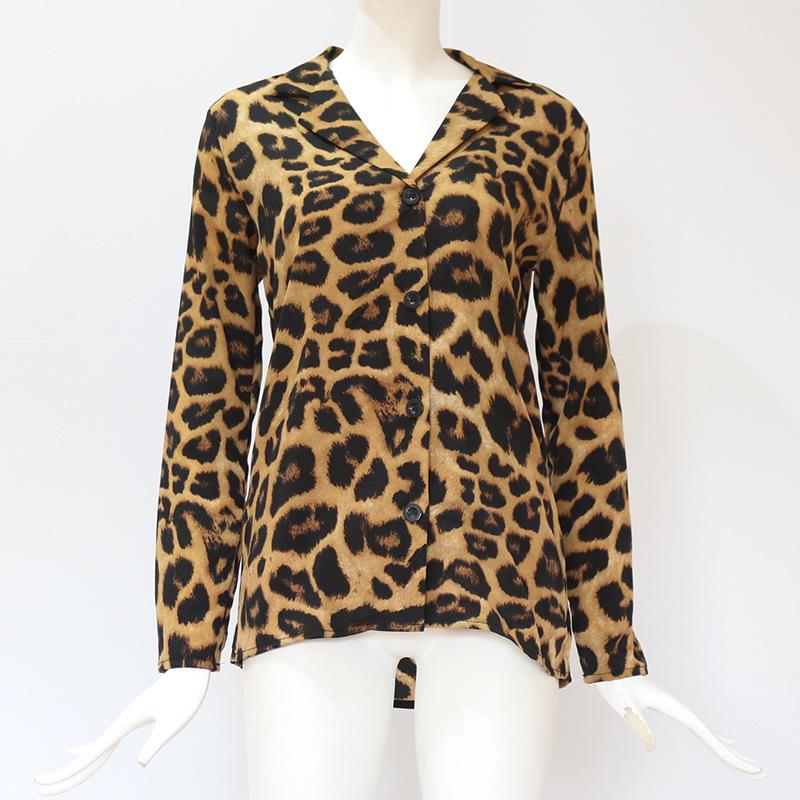 Leopard Print V-neck Long Sleeve Chiffon Jacket